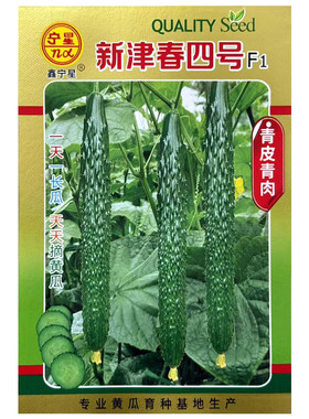 新津春四号黄瓜种子绿瓤高产耐寒
