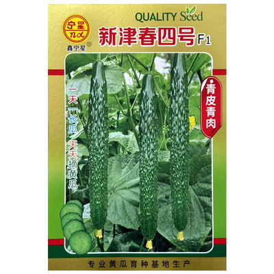 新津春四号黄瓜种子绿瓤高产耐寒
