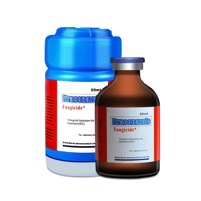 肤曲康伊曲康唑真菌猫癣皮肤病