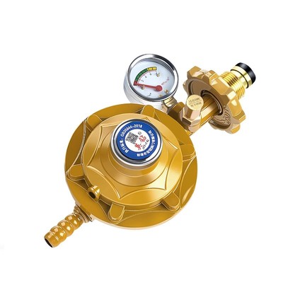 ⭕【好用推荐】煤气减压阀新款