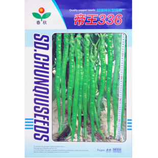 长龙56线椒辣椒种子高产超长早熟超辣特大种籽四季春播帝王336