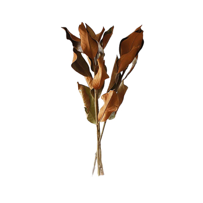 鹿岗创意家居干花装饰摆件