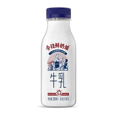 草莓牛奶+芋泥厚乳低温鲜奶