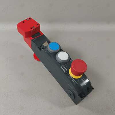 Pizzato NG 2D7E412V-F31