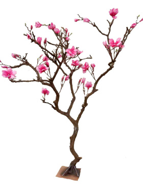 花艺上海意惠陶瓷花艺馆玉兰花