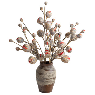 掬涵侘寂风禁果仿真花束摆件轻奢高级感果实干花艺客厅家居装饰品