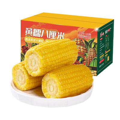 灶小美新玉米段新鲜黄糯玉米12段装真空包装内蒙古粘黏玉米棒早餐