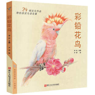 彩铅花鸟 彩色铅笔画画书零基础入门教程教材美术绘画超写实手绘技法绘画动物植物本漫画素描画册临摹范本花之绘教学成人涂色书籍