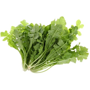 野生荠荠菜种籽基地专用大叶荠菜种子春秋两季板叶花叶荠菜种孑籽