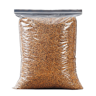 正品大麦茶2500g浓香型饭店专用茶包茶叶孕妇回奶断奶搭金丝皇菊