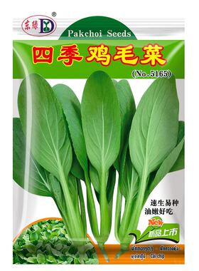 买2送1/今年新种子鸡毛菜种子
