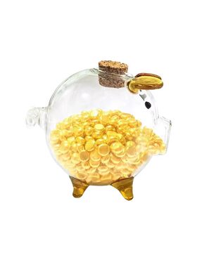 金豆豆收纳瓶小金豆瓶子高级大号