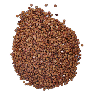 红缨子红樱子高粱种子酿酒糯高粱种籽春季高杆高产抗旱酿酒高粱籽