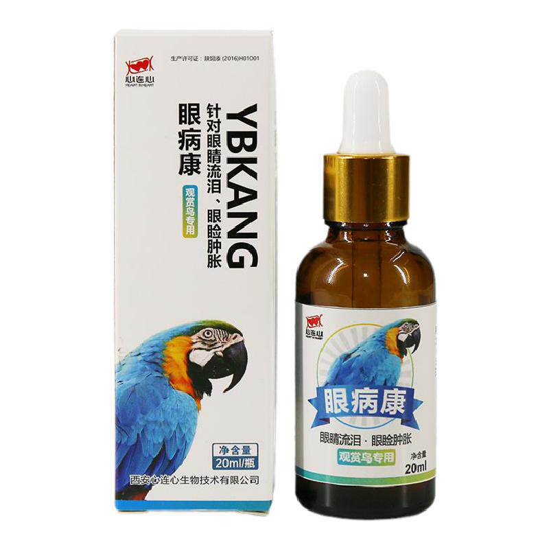 鹦鹉单眼伤风衣原体一滴灵心连心