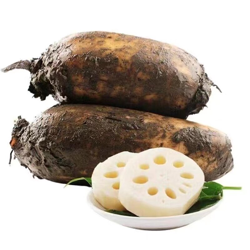 包邮食品级莲藕漂白粉生物除锈清洗剂莲藕漂白去污粉莲藕粉100克