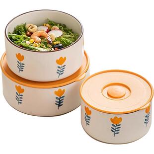 小清新保鲜碗带盖陶瓷泡面碗可微波炉加热上班族便当碗专用保鲜碗
