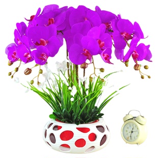 保湿手感蝴蝶兰假花仿真花摆设客厅前台装饰花高端大花束餐桌摆件