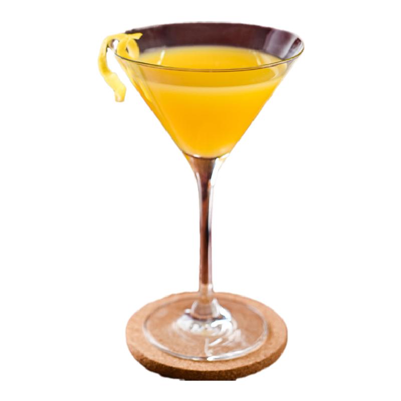 RONA斯洛伐克鸡尾酒杯马天尼杯