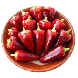 贵州子弹头辣椒干红辣椒子弹头干辣椒中辣特香贵州干辣椒朝天椒