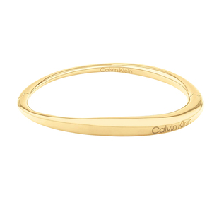 BANGLE - 2024 CalvinKlein Elongated Linear 35000350 - CK手镯