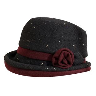 秋冬季羊毛帽子女士中老年保暖毛呢帽妈妈帽时尚百搭渔夫帽奶奶帽