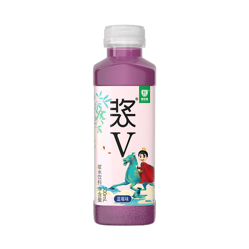 陇浆源浆水饮料乳酸菌果蔬汁特产