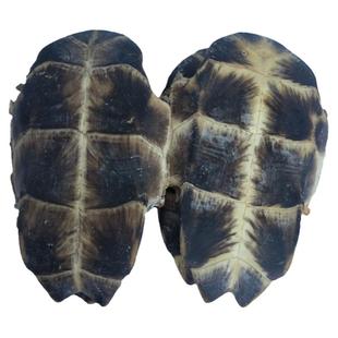 中药材龟板生龟板可挑大小优质草龟板熬胶龟板做龟苓膏打碎粒磨粉