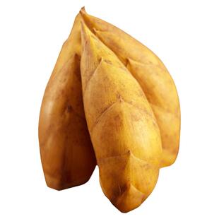 冬笋新鲜现挖竹笋浙江天目野生鲜笋笋毛竹笋当季蔬菜整箱包邮