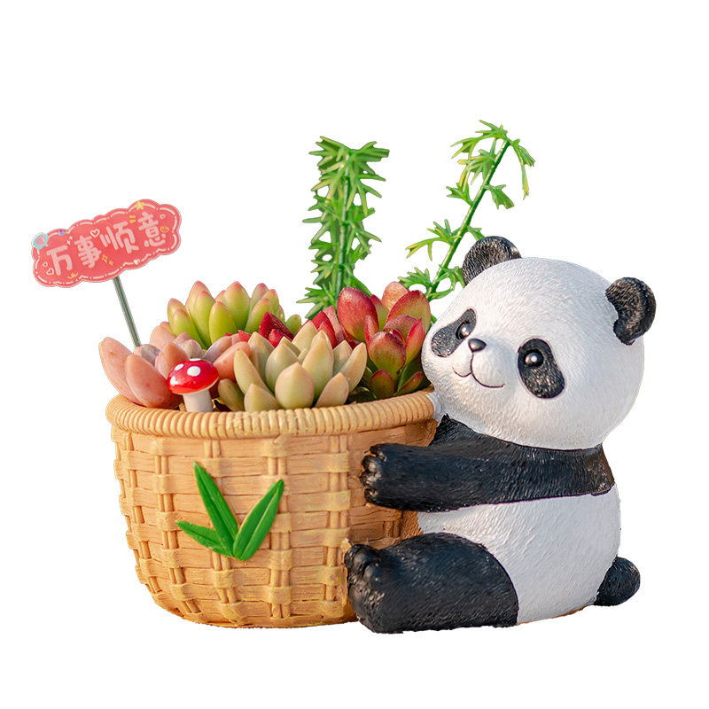 创意熊猫多肉组合盆栽可爱小花盆四川熊猫伴手礼幼儿园植物礼物