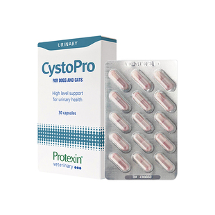 英国沙斯多保猫咪膀胱黏膜保护狗狗尿频尿血期间营养支持沙司多保