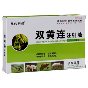 双黄连兽药大全批发双黄连注射兽用猪牛羊清热解毒咳嗽喘感冒针剂