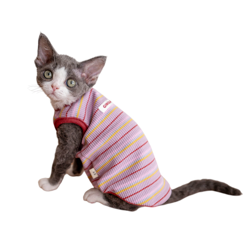 GINGERAIN 100%棉德文猫衣服无毛猫条纹背心保暖空调服打底衫