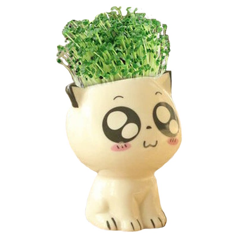 创意可爱小绿植卡通造成桌面盆栽