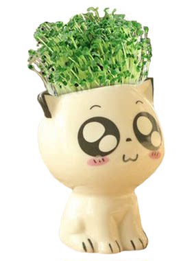 创意可爱小绿植卡通造成桌面盆栽