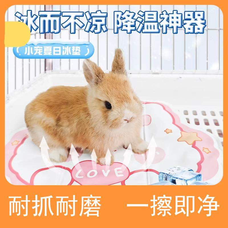 兔子冰垫专用降温板夏天降温神器宠物龙猫荷兰猪凉垫凉席散热避暑