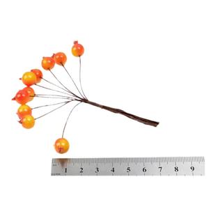森系仿真亮色浆果红果假果 diy花环材料 圣诞节日装饰 拍摄摆件