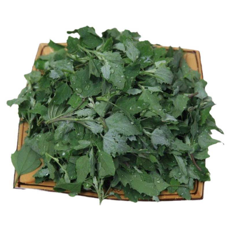 现货新鲜野菜灰灰菜农家保健野生蒸菜天然高钙绿叶菜商用绰水包邮