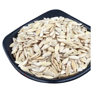 生黄瓜籽东北老黄瓜种