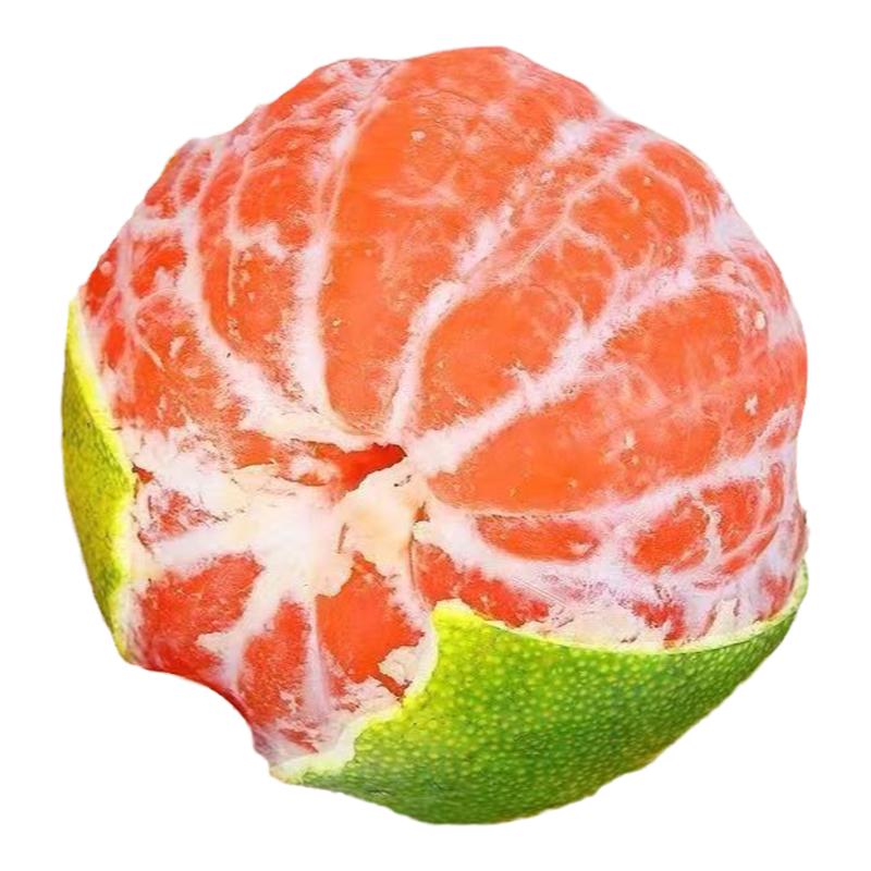 农家柑橘新鲜水果青皮蜜桔子包邮