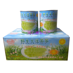 龙江牌 野生大洋苦笋 清水苦竹笋罐头 潮汕揭西客家特产 整箱六罐