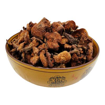 东北特产野生榛蘑小鸡炖蘑菇500g