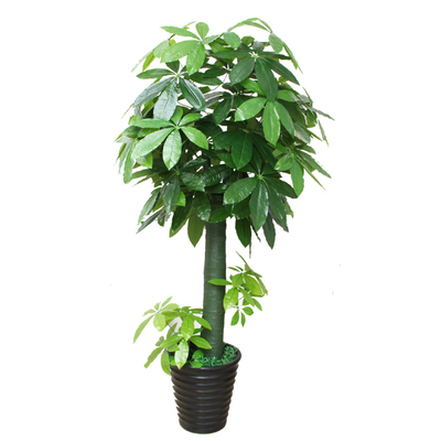 仿真植物不会枯萎无需打理