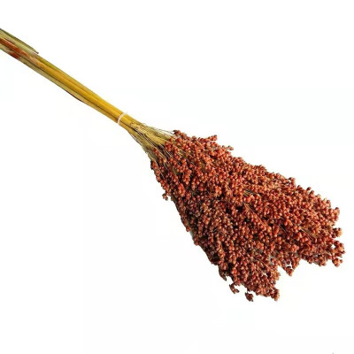 田园客厅装饰拍摄道具天然干花