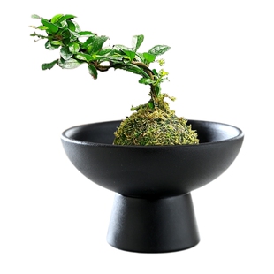 苔藓球花盆陶瓷盆托盘中式桌面摆件水培米竹苔藓球水培器皿盆托