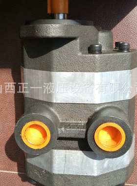 2CB-FC40/10-FL双联齿轮泵 高压齿轮液压双联泵 双联铝合金齿轮泵