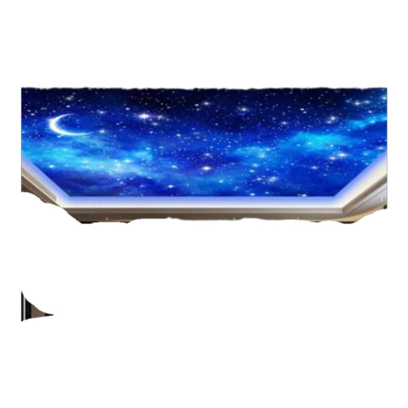 网红星空顶天花板光纤灯会所别墅