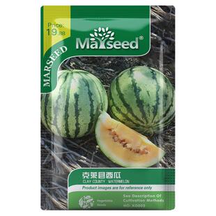 【新品推荐】进口传家宝克莱县甜西瓜种子  清凉解暑香甜多汁籽孑