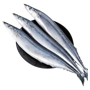 深海秋刀鱼新鲜冷冻商用特大号烧烤日式料理海鲜水产鲜活海鱼顺丰