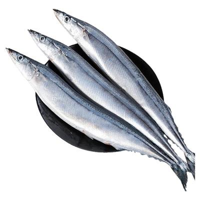 深海秋刀鱼新鲜海捕特大号
