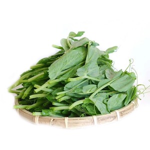 大荚荷兰豆甜豌豆尖种籽专吃豌豆苗四季龙须豌豆蔬菜香菜麦菜水果